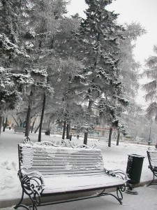 DSCN7840 DSCN7840