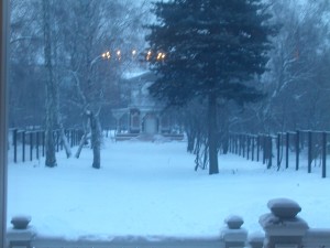 DSCN8101
