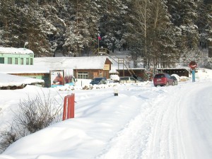 Питомник К9 в Иркутске Питомник К9 в Иркутске