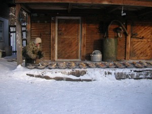 Питомник К9 в Иркутске Питомник К9 в Иркутске