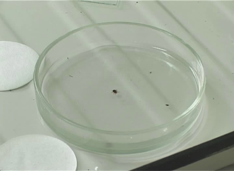 Фото: as.baikal.tv