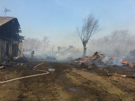 В Иркутской области предстанет перед судом предполагаемый виновник крупного пожара в поселке Юрты