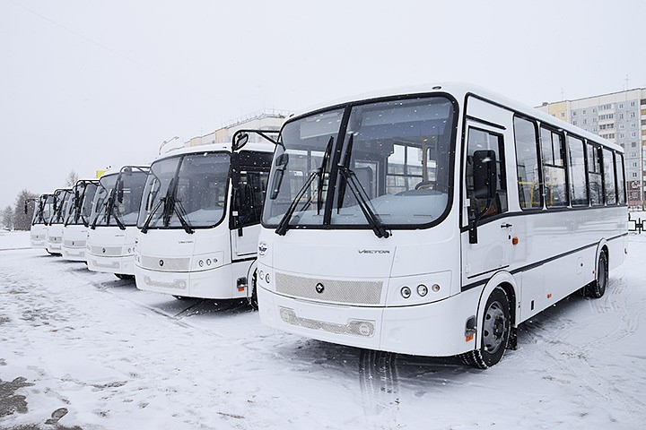 Новые автобусы пополнили парк Братска