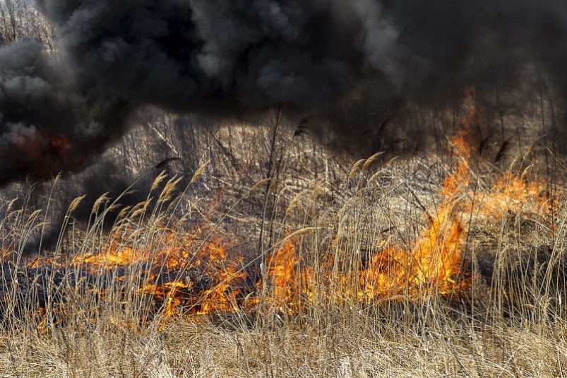 Два подростка спасли от пожара садоводство в Иркутском районе