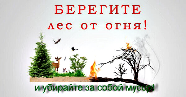 Волонтерский отряд будет тушить леса вдоль трассы Иркутск-Ангарск: Присоединяйтесь!