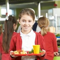 В Госдуму внесен законопроект о бесплатном горячем питании для учащихся 5-9 классов